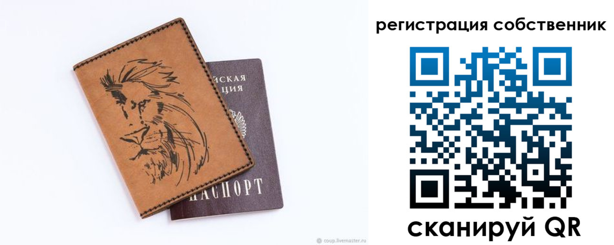 прописка паспорт в Московской области
